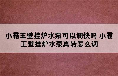 小霸王壁挂炉水泵可以调快吗 小霸王壁挂炉水泵真转怎么调